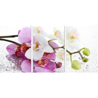 Купить Набор алмазной вышивки Орхидея. Триптих (три картины). 75 х 35 см (арт. FS312) Купить Набор алмазной вышивки Орхидея. Триптих (три картины). 75 х 35 см (арт. FS312)