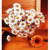 Купить Алмазная вышивка Яркие ромашки 30 х 30 см (арт. FS327) Купить Алмазная вышивка Яркие ромашки 30 х 30 см (арт. FS327)