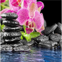 Купить Алмазная вышивка Розовая орхидея 35 х 35 см (арт. FS351) Купить Алмазная вышивка Розовая орхидея 35 х 35 см (арт. FS351)
