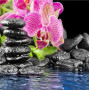 Купить Алмазная вышивка Розовая орхидея 35 х 35 см (арт. FS351)