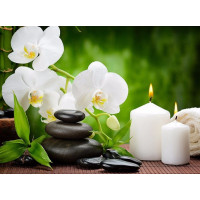 Купить Набор алмазной мозаики Оазис спокойствия 20*25 см (арт. FS498) Купить Набор алмазной мозаики Оазис спокойствия 20*25 см (арт. FS498)