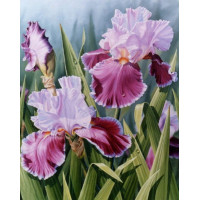 Купить Алмазная мозаика Нежные ирисы 40 х 30 см (арт. FS527) Купить Алмазная мозаика Нежные ирисы 40 х 30 см (арт. FS527)