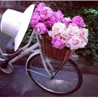 Купить Рисование камнями Велосипед флористки 40 х 40 см (арт. FS632) алмазная вышивка Купить Рисование камнями Велосипед флористки 40 х 40 см (арт. FS632) алмазная вышивка