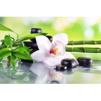 Купить Алмазная вышивка Орхидея с бамбуком50*30 см (арт. FS657) Купить Алмазная вышивка Орхидея с бамбуком50*30 см (арт. FS657)