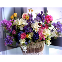 Купить Набір алмазної вишивки Весняна композиція у корзині 40 х 30 см (арт. FS824) Купить Набір алмазної вишивки Весняна композиція у корзині 40 х 30 см (арт. FS824)