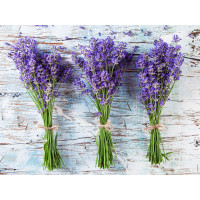 Купить Алмазная вышивка квадратные камни 40 х 30 см Нежный аромат лаванды (арт. FS852) Купить Алмазная вышивка квадратные камни 40 х 30 см Нежный аромат лаванды (арт. FS852)