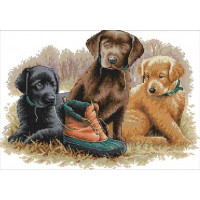 Купить Вышивка крестиком Щенки ретривера 42х31 см (арт. MK077) Купить Вышивка крестиком Щенки ретривера 42х31 см (арт. MK077)