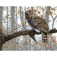Купить Вышивка крестиком комплект с нитками Совушка 44х35 см (арт. MK170) Купить Вышивка крестиком комплект с нитками Совушка 44х35 см (арт. MK170)