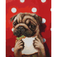 Щасливий песик ©Lucia Heffernan