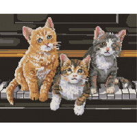 Грайливі кошенята