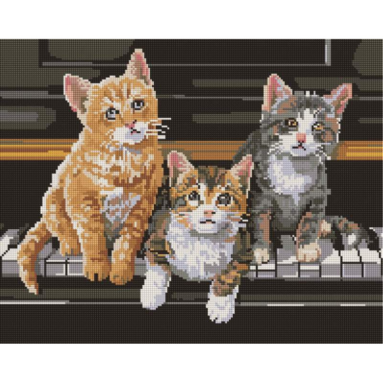 Грайливі кошенята