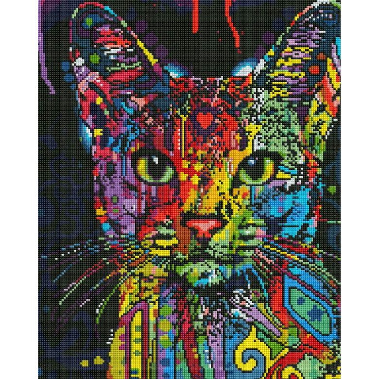 Абісинська кішка