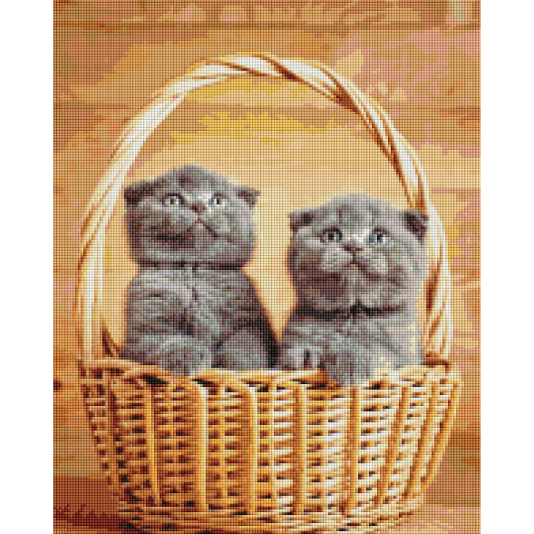 Британські кошенята в корзинці