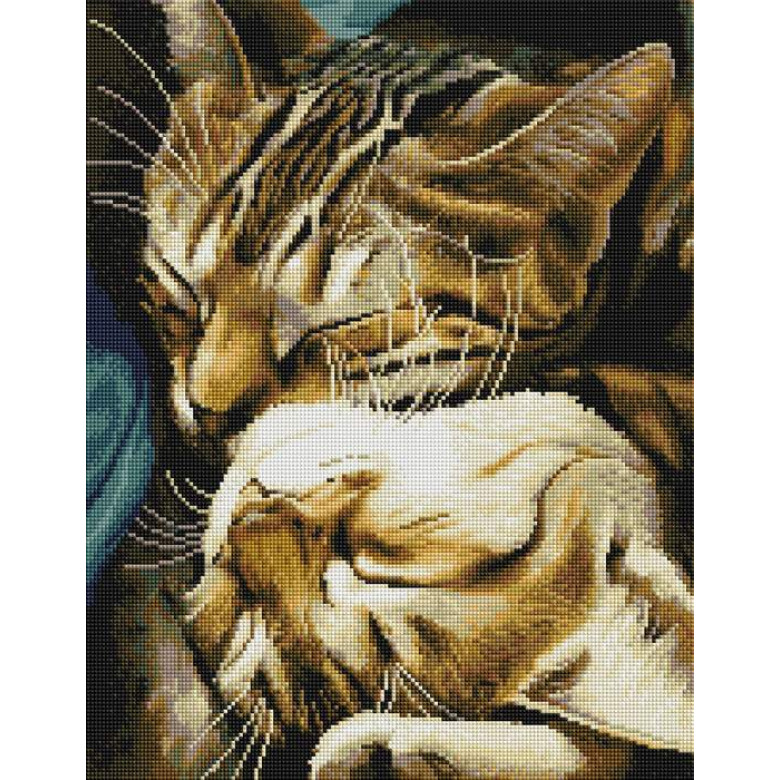 Сплячі котики