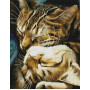 Сплячі котики
