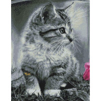 Кошеня