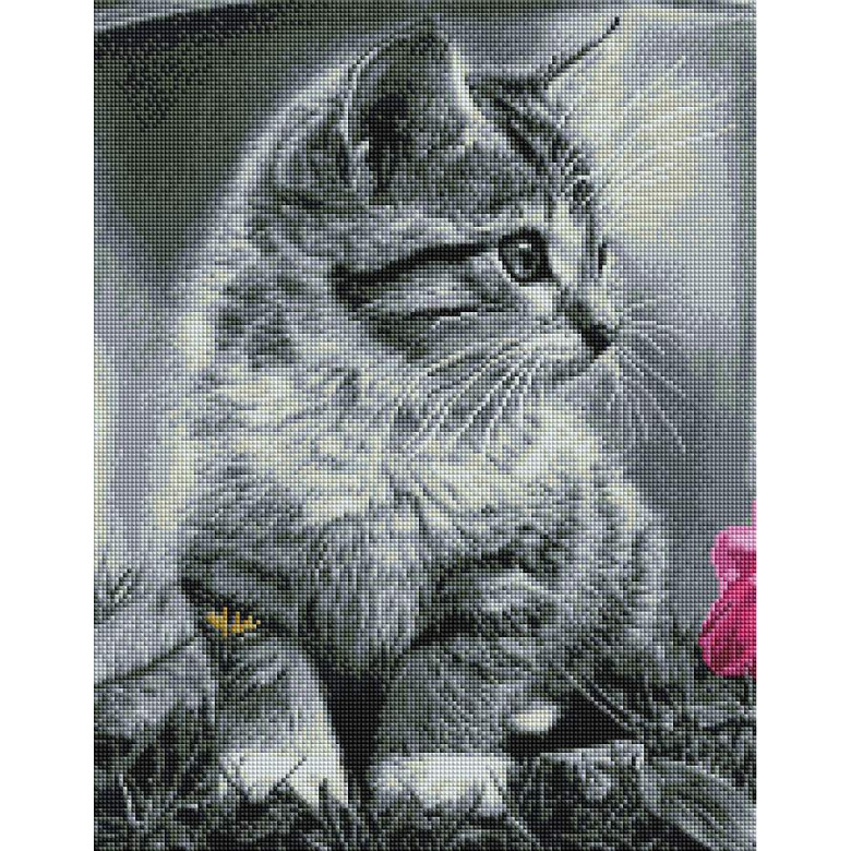Кошеня