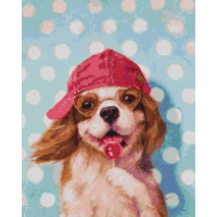 Песик з льодяником ©Lucia Heffernan