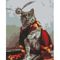 Котик ловець снітчу