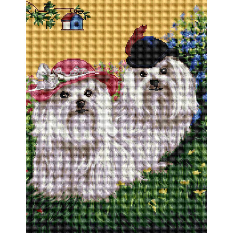 Милі болонки