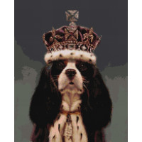 Король Чарльз ©Lucia Heffernan