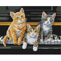 Музичні коти