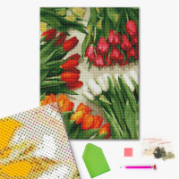 Різнобарвні тюльпани Різнобарвні тюльпани