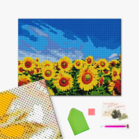 Поле соняшників Поле соняшників