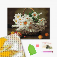 Польові ромашки Польові ромашки