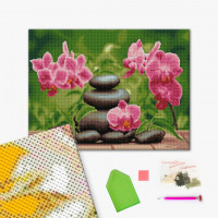 Лілові орхідеї Лілові орхідеї