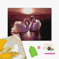 Пара лебедів