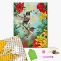 Пара колібрі