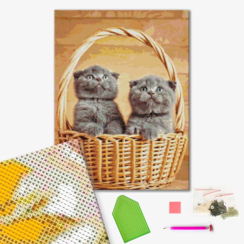 Британські кошенята в корзинці