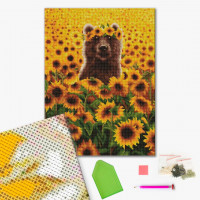 Сонячний ведмедик ©Lucia Heffernan Сонячний ведмедик ©Lucia Heffernan