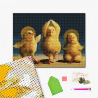 Духовні курчата ©Lucia Heffernan