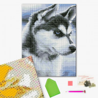 Щеня Хаскі Щеня Хаскі