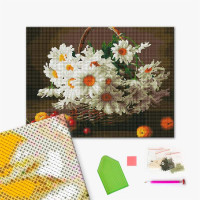 Польові ромашки Польові ромашки