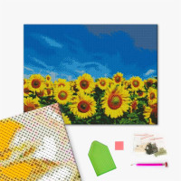 Соняшникове поле