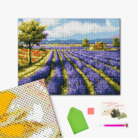 Лавандові поля Лавандові поля