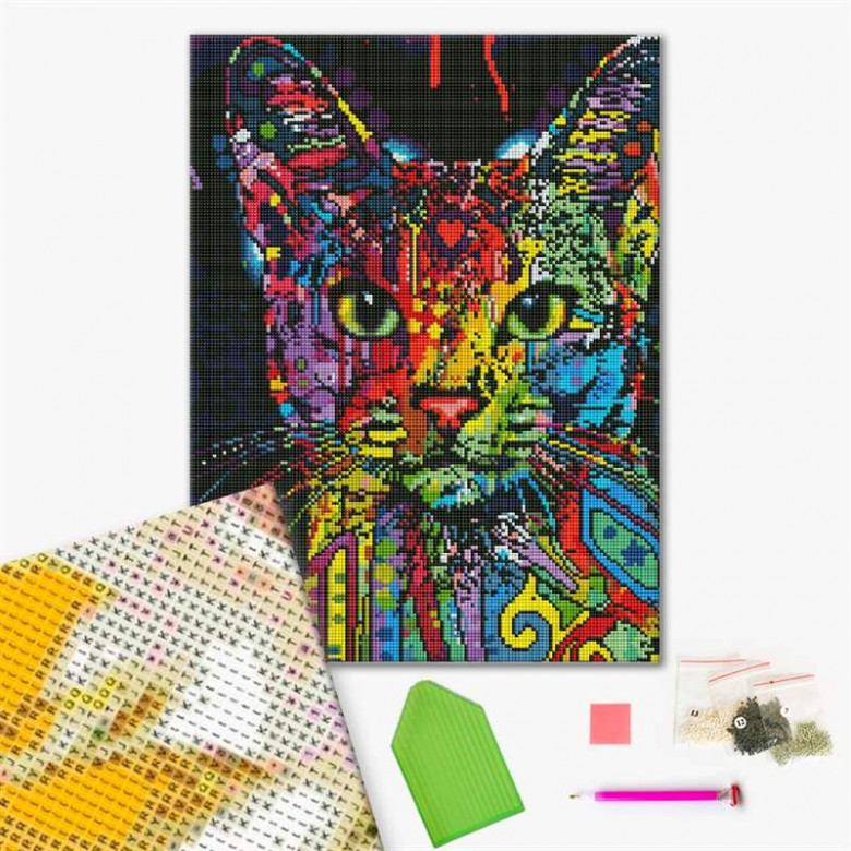 Абісинська кішка