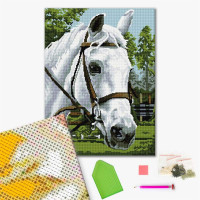 Красень Буцифал Красень Буцифал