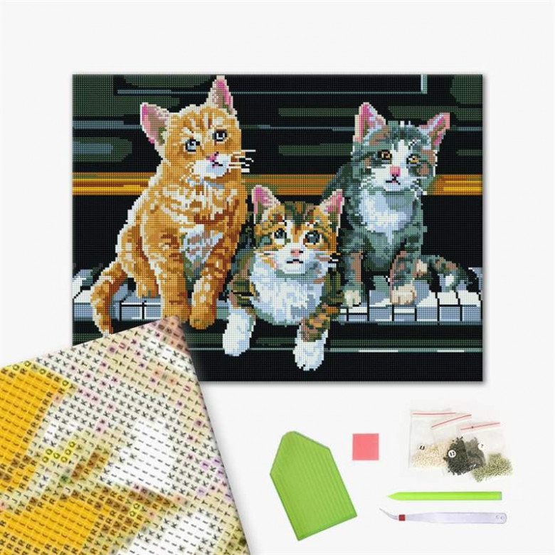 Грайливі кошенята