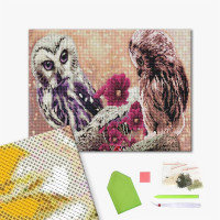 Совина пара