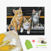 Музичні коти Музичні коти