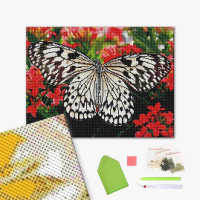 Метелики на квітах Метелики на квітах