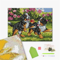 Цуценята з м'ячиком Цуценята з м'ячиком