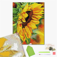 Квітка соняшника