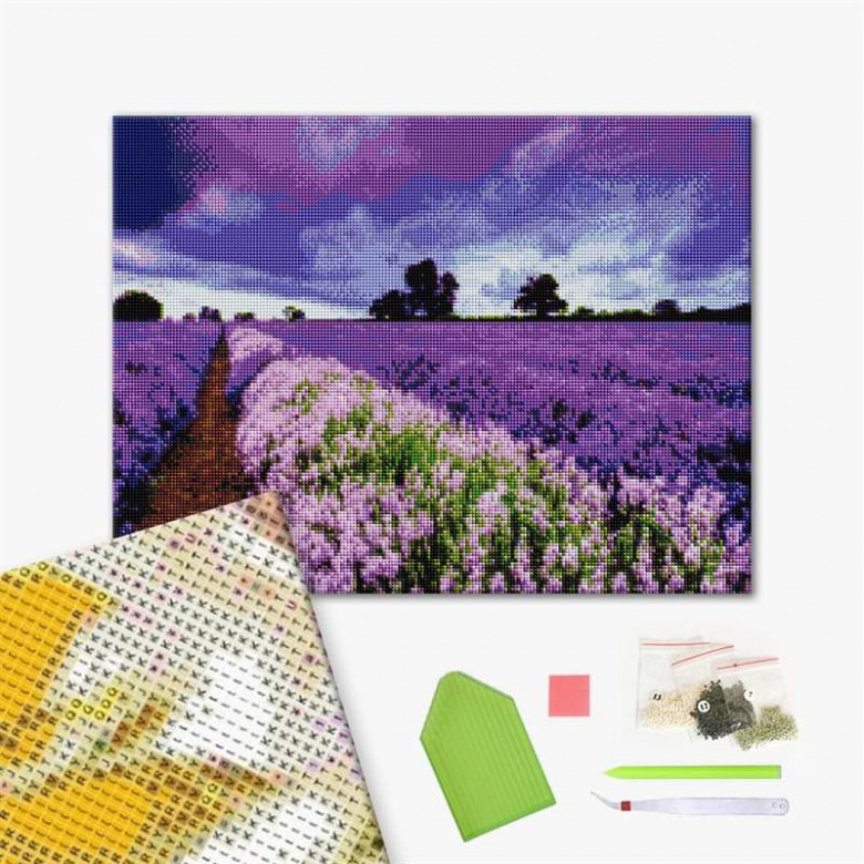 Lavender field