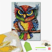 Барвиста сова