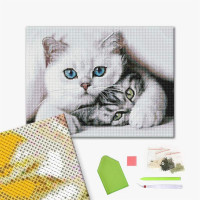 Нахабний котик Нахабний котик